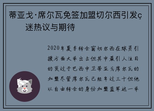 蒂亚戈·席尔瓦免签加盟切尔西引发球迷热议与期待